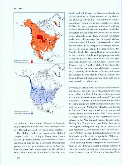Ducks, Geese and Swans of North America, (2-Volume Set) - Baldassarre, G. 2014
